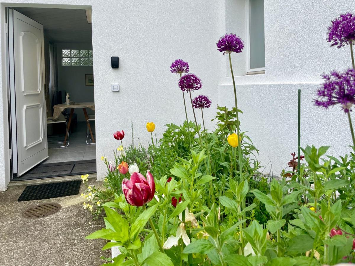 Studio In Stadtnaehe Zuerich Mit Guter Verkehrsanbindung Adliswil Buitenkant foto