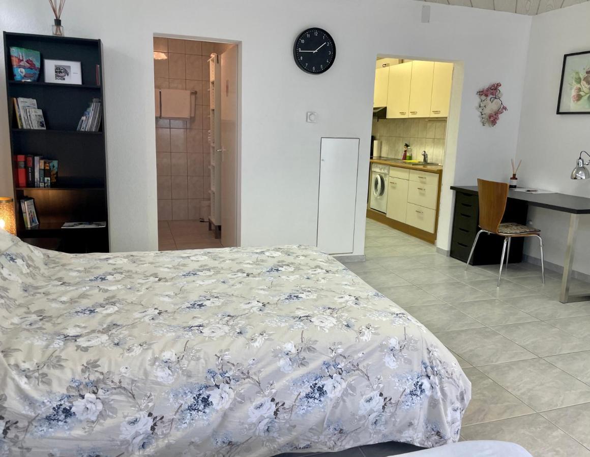 Studio In Stadtnaehe Zuerich Mit Guter Verkehrsanbindung Adliswil Buitenkant foto
